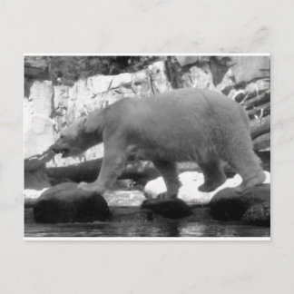 SAVE THE POLAR BEARS POSTCARD