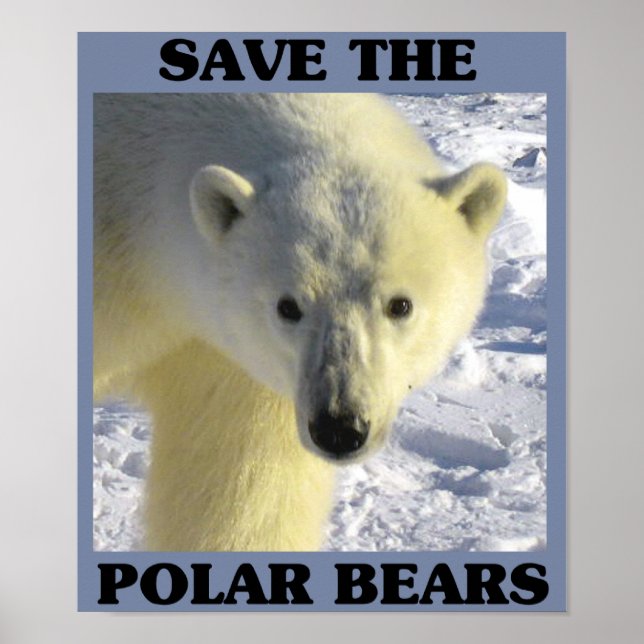 Save the Polar Bears Poster (Front)