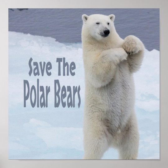 Save The Polar Bears Poster | Zazzle.co.uk