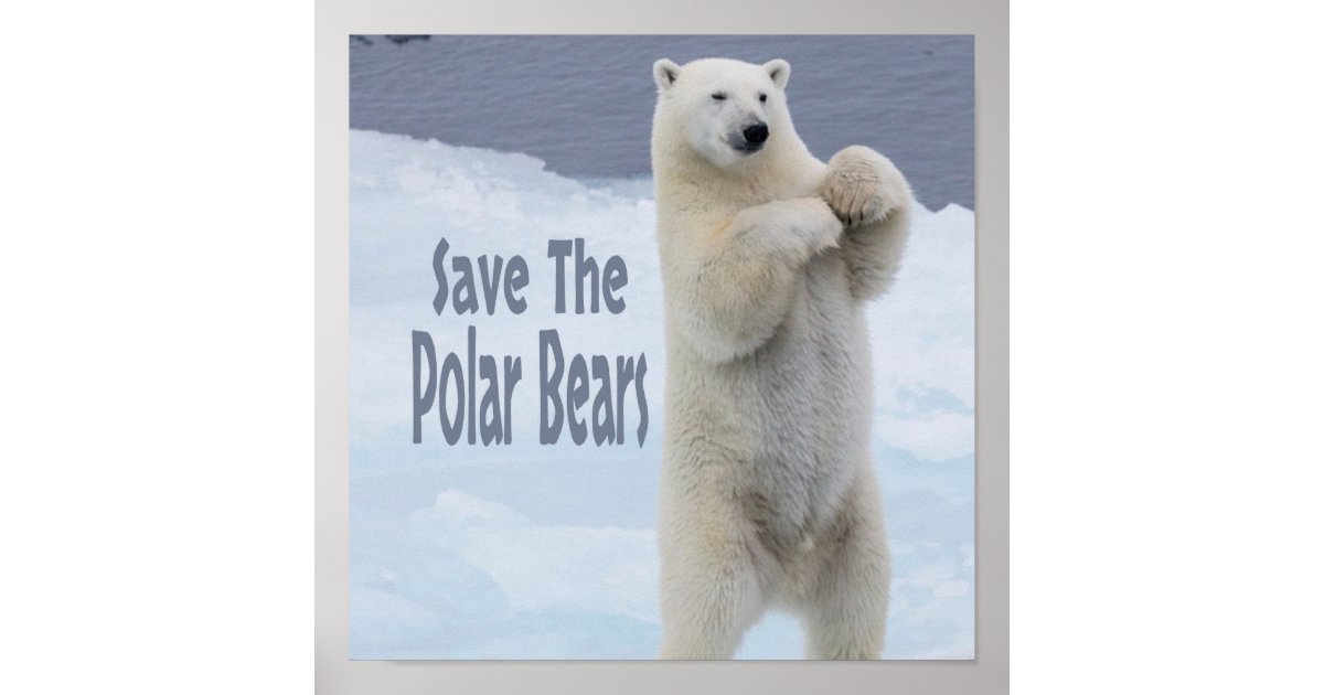 Save The Polar Bears Poster Zazzle