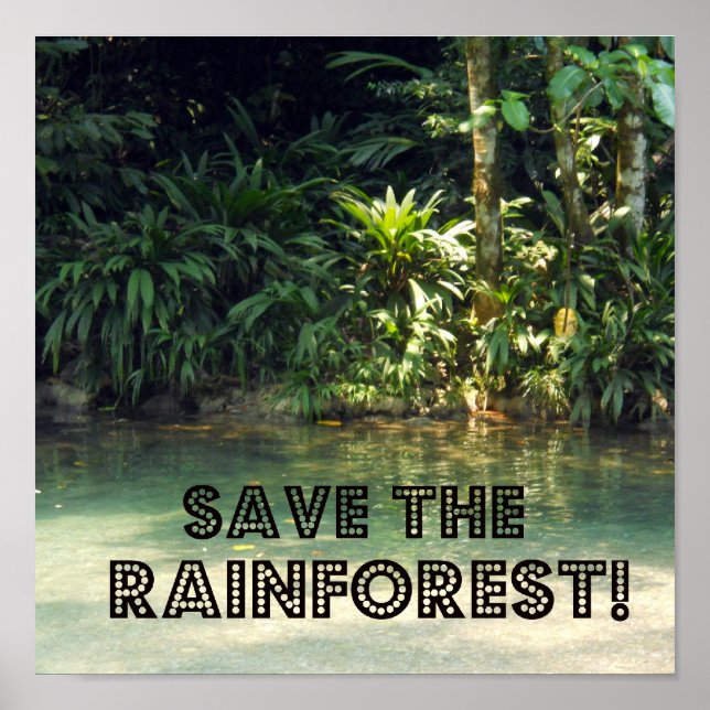 Save the Rainforest! Poster (Front)
