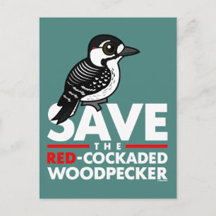 Save the Red-cockaded Woodpecker Postcard