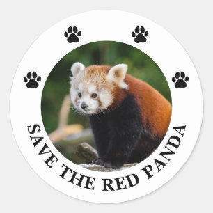 Save the Red Panda Classic Round Sticker