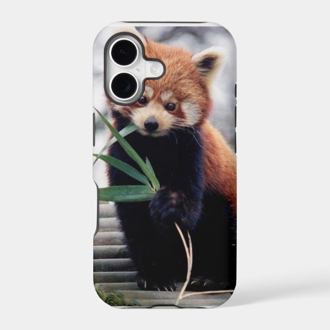 Save the Red Panda iPhone 5/5S Case (Back)