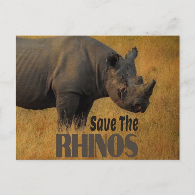 Save The Rhinos Postcard (Front)