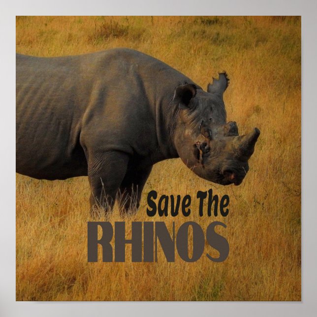 Save The Rhinos Poster (Front)