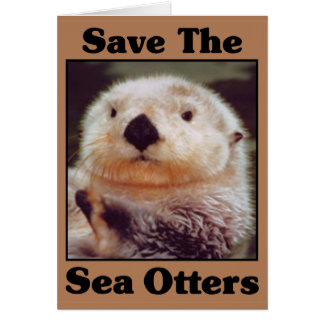 Save the Sea Otters