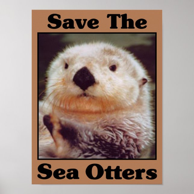 Save the Sea Otters Poster (Front)