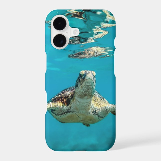 Save The Sea Turtles (Back)