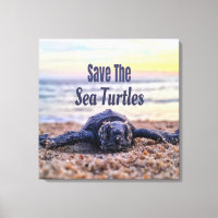 Save The Sea Turtles