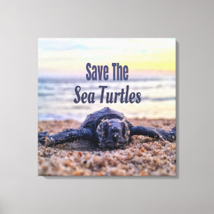 Save The Sea Turtles Canvas Print