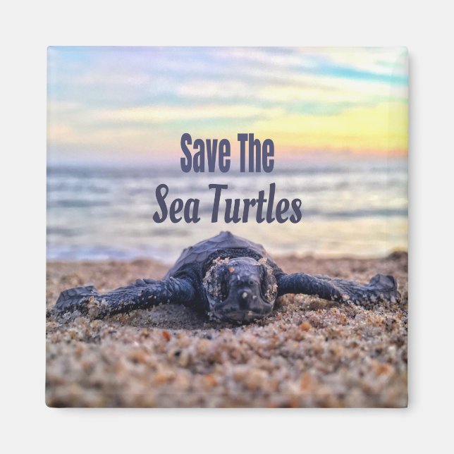Save The Sea Turtles Magnet (Front)