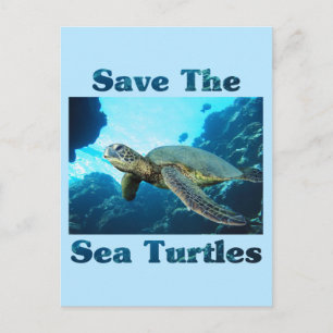 Save the Sea Turtles Postcard