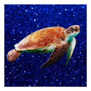 Save the Sea Turtles Poster