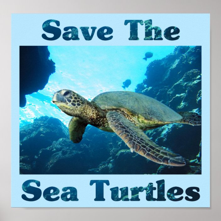 Save The Sea Turtles Poster Uk