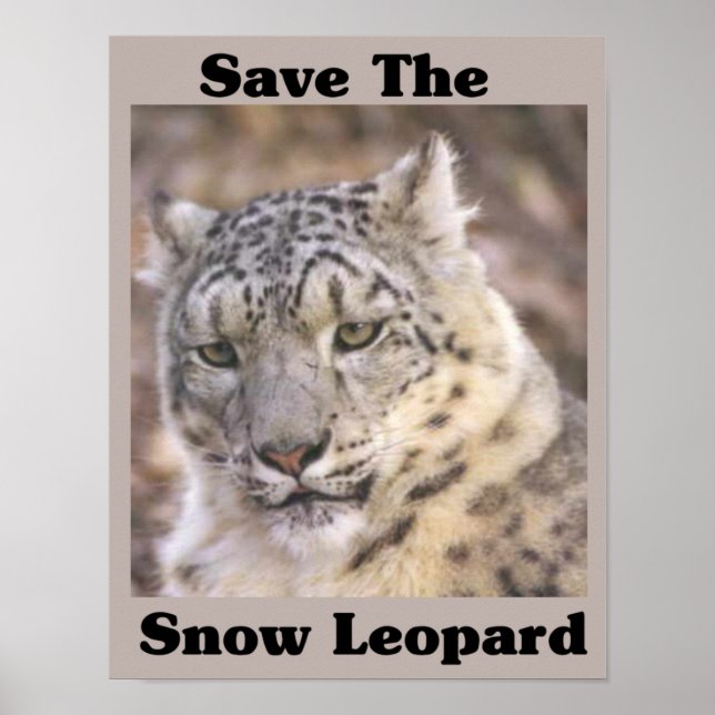 Save the Snow Leopard Poster (Front)