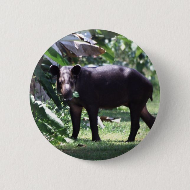 save the Tapir 6 Cm Round Badge (Front)
