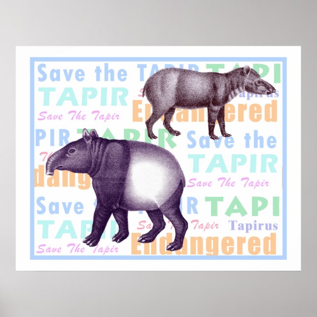 Save the Tapir Poster - American & Asian Tapirs (Front)
