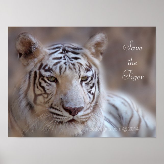 Save the Tiger White Bengal Tiger Poster (Front)
