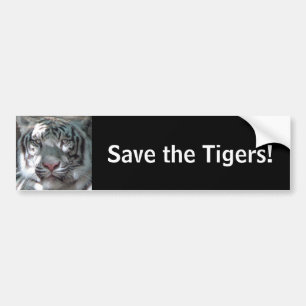 Save the Tigers Bumper Sticker