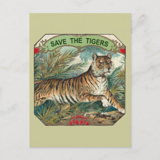 Save The Tigers Postcard