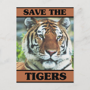 Save the Tigers Postcard