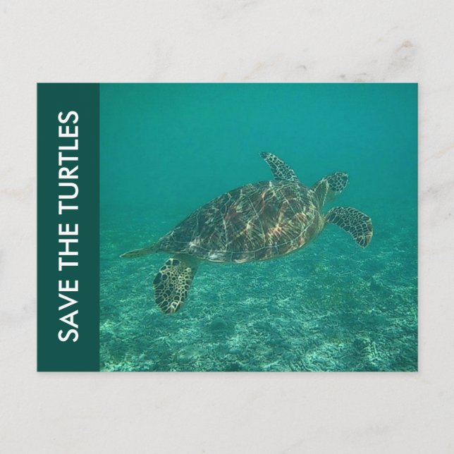 save the turtles postcard (Front)