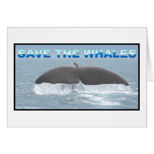 Save the Whales