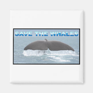 Save the Whales Magnet