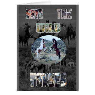 Save The Wild Horses