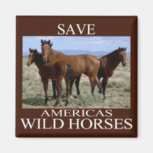 Save the Wild Horses Magnet