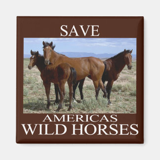 Save the Wild Horses Magnet