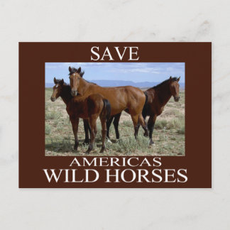 Save the Wild Horses Postcard