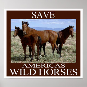 Save the Wild Horses Poster