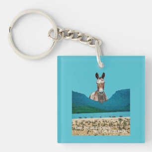Save the Wild Horses, Save the Wilderness Key Ring