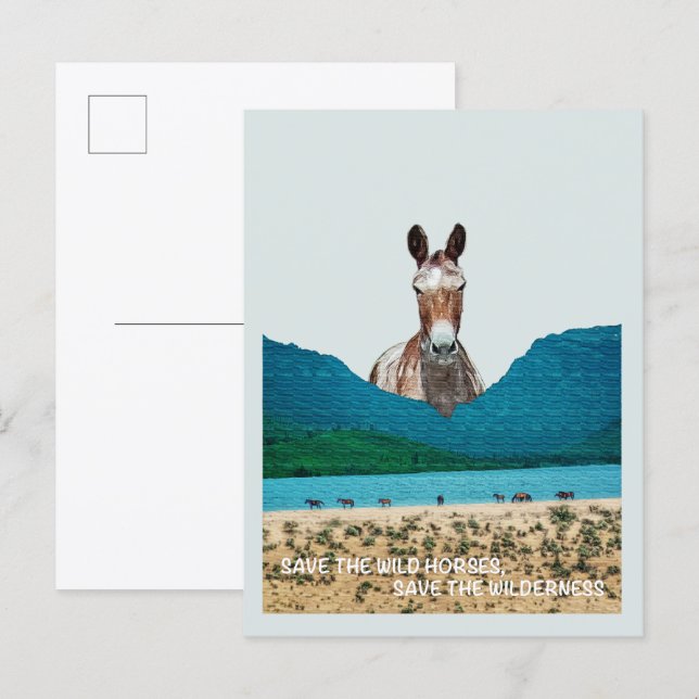 Save the Wild Horses, Save the Wilderness Postcard (Front/Back)