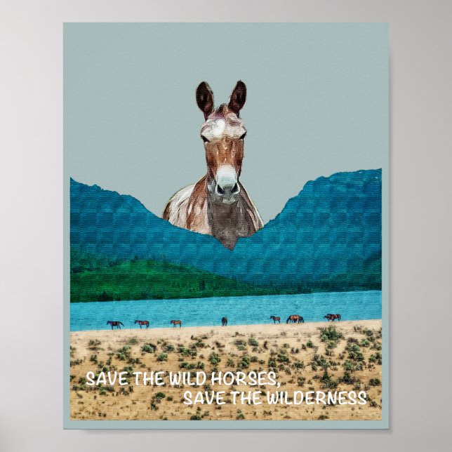 Save the Wild Horses, Save the Wilderness Poster (Front)