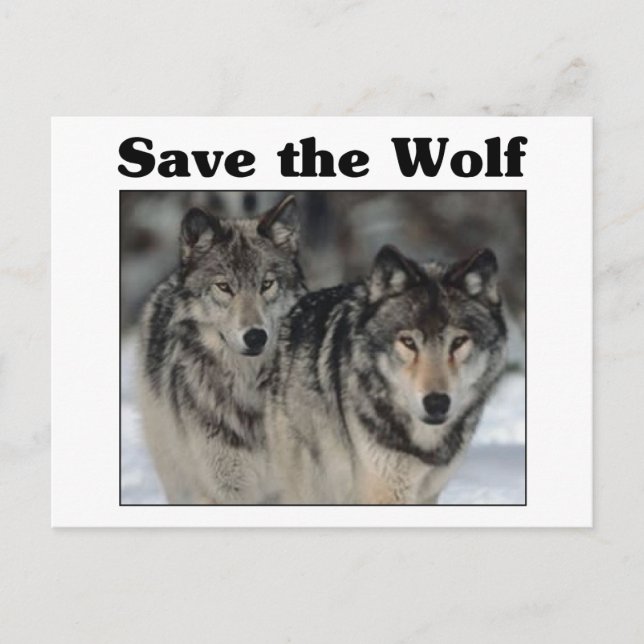 Save the Wolf Postcard (Front)