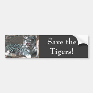 Save Tigers Bumper Sticker