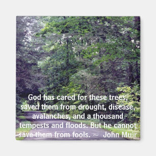 Save Us From Fools - magnet