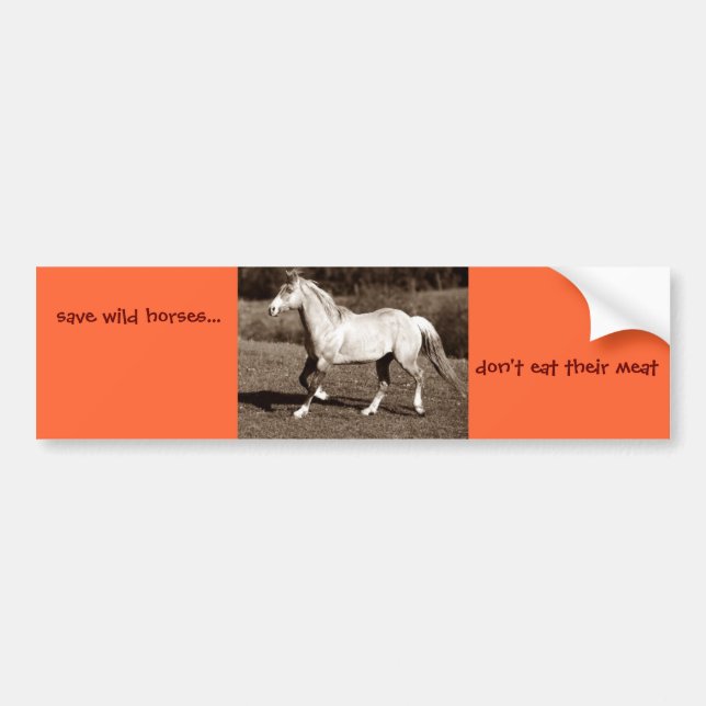 save wild horses..., don't eat their meat bumper sticker (Front)