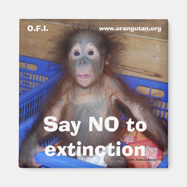 Save Wildlife Conservation Magnet (Front)