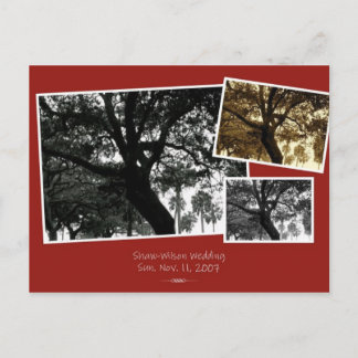 SaveTheDate Announcement Postcard