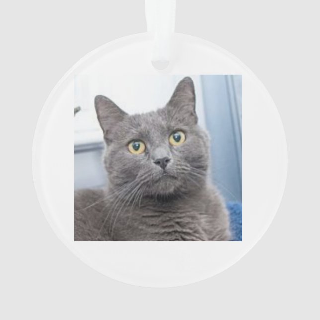 Saving Grace Christmas Ornament (Back)