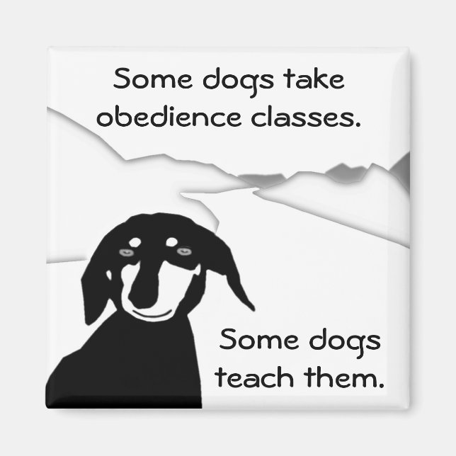 Savvy Sausage Wisdom - Obedience Classes Magnet (Front)