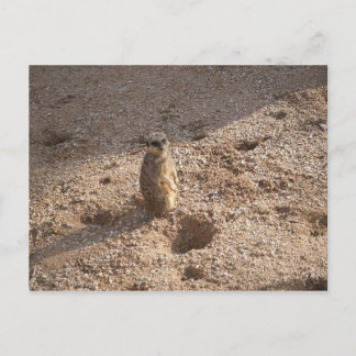 Saw this & thought of you! postcard