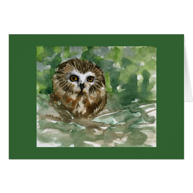 "Saw Whet Owl" (Front Horizontal)