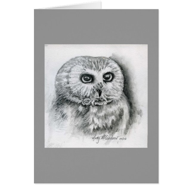 "Saw Whet Owl" (Front)