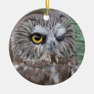 Saw-whet Owl Ceramic Tree Decoration