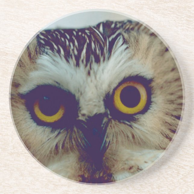 Saw-whet owl coaster (Front)